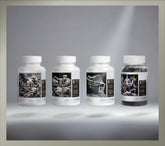 The Productivity Olympian Stack